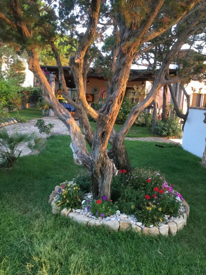 Villa Edo Cala Liberotto Dış mekan fotoğraf