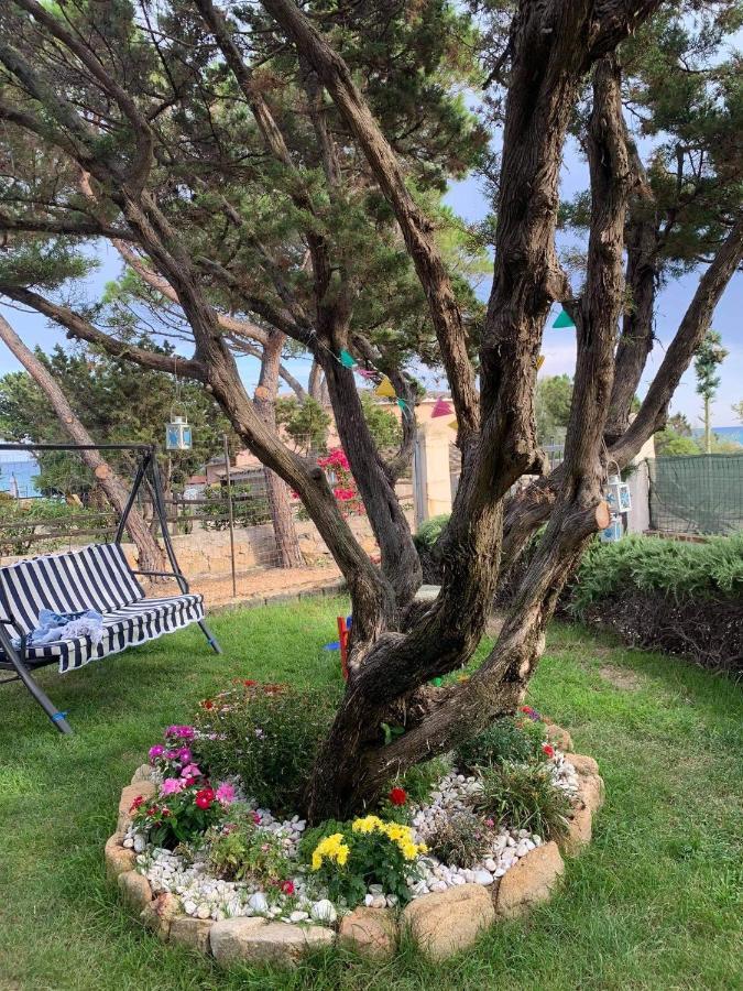 Villa Edo Cala Liberotto Dış mekan fotoğraf