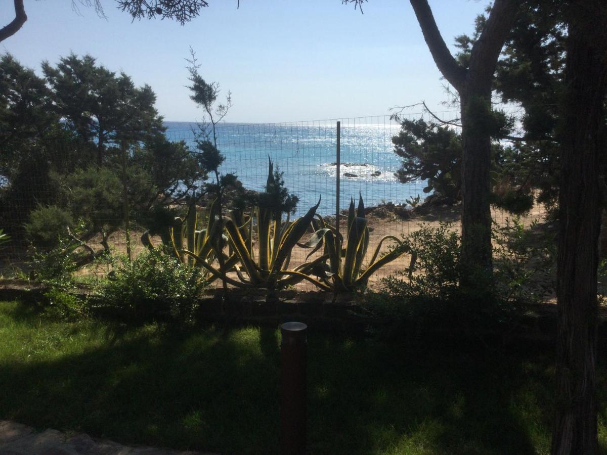 Villa Edo Cala Liberotto Dış mekan fotoğraf