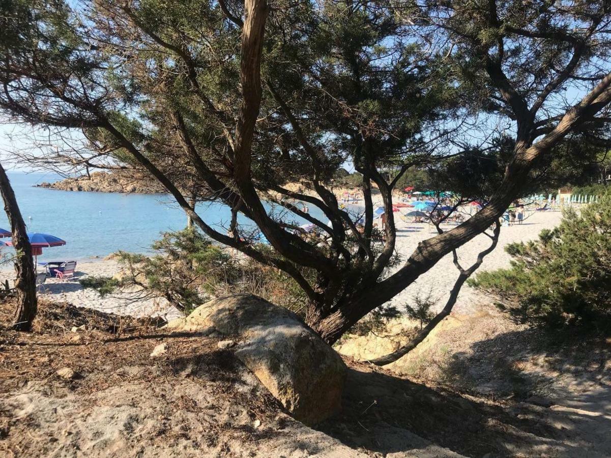 Villa Edo Cala Liberotto Dış mekan fotoğraf