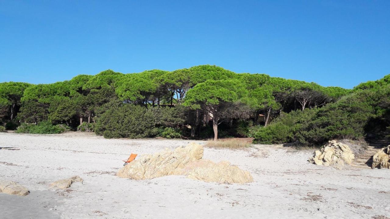Villa Edo Cala Liberotto Dış mekan fotoğraf